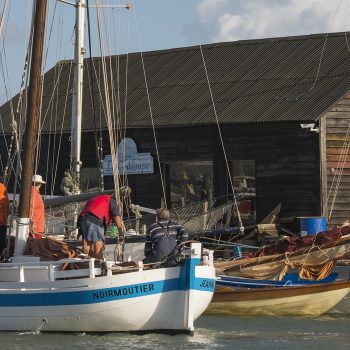 Port de Noirmoutier en été
